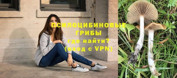 Альфа ПВП Абдулино