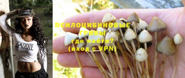 Альфа ПВП Абдулино