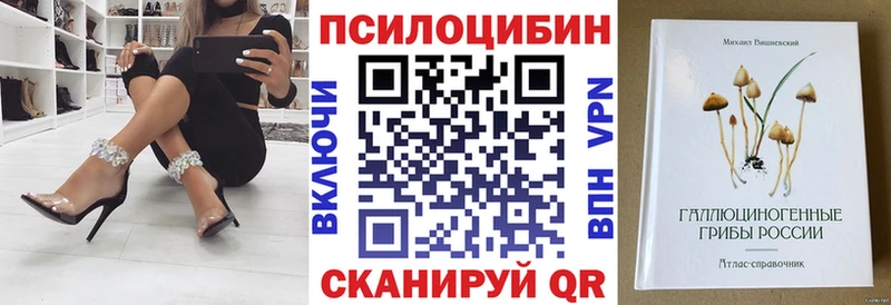 сколько стоит  Алатырь  даркнет телеграм  Псилоцибиновые грибы мухоморы 