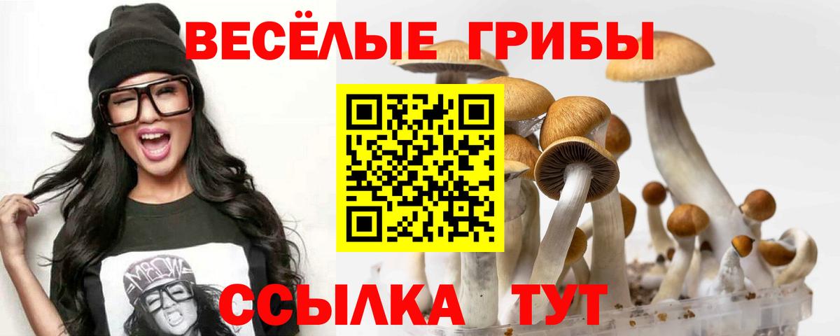 Псилоцибиновые грибы MAGIC MUSHROOMS Алатырь