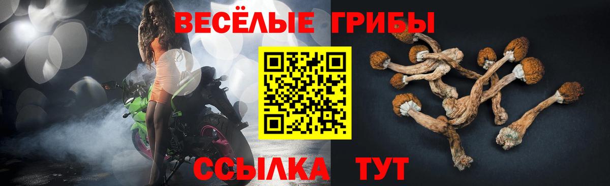 Галлюциногенные грибы GOLDEN TEACHER  Псилоцибиновые грибы Magic Shrooms  Алатырь  Вход с VPN 